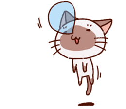 Sticker of the Small Siamese cat sticker #8370145