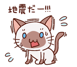 Sticker of the Small Siamese cat sticker #8370149