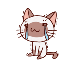 Sticker of the Small Siamese cat sticker #8370155