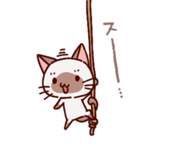 Sticker of the Small Siamese cat sticker #8370162