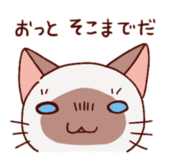 Sticker of the Small Siamese cat sticker #8370163