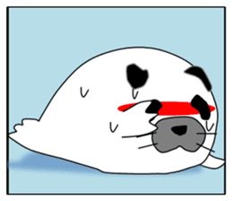 Seal panda sticker #8370668