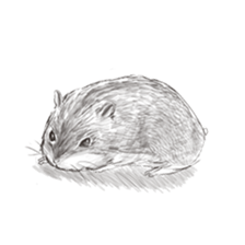 Surreal hamster and animals sticker #8372526