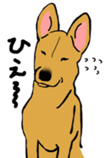 Hachi and Coro sticker #8372765