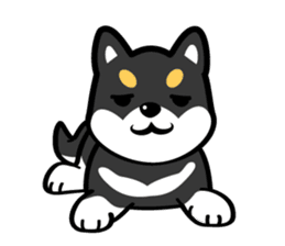 I Love Black Shiba sticker #8372807