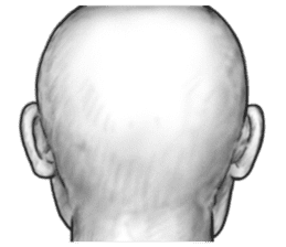 Human skin head (For overseas) sticker #8373099