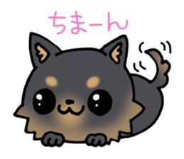 black cute puppy! sticker #8374702