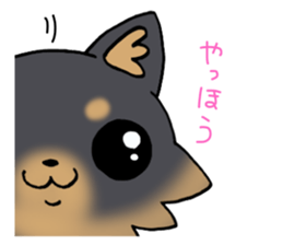 black cute puppy! sticker #8374724