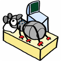 Ants!<Health first> sticker #8375834