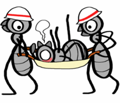 Ants!<Health first> sticker #8375844