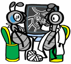 Ants!<Health first> sticker #8375848