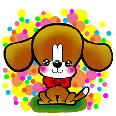 beagle dogs pochi