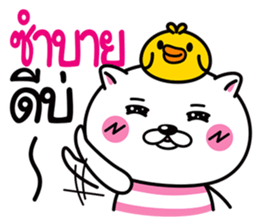 Duck & Cat life is funny 1 sticker #8380388