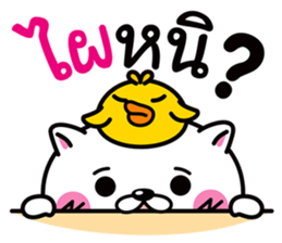 Duck & Cat life is funny 1 sticker #8380404