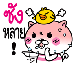 Duck & Cat life is funny 1 sticker #8380422