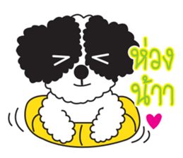Tofu the little poodle sticker #8380443