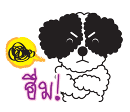 Tofu the little poodle sticker #8380450