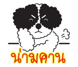 Tofu the little poodle sticker #8380457