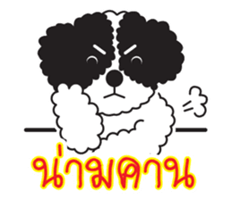 Tofu the little poodle sticker #8380457