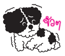 Tofu the little poodle sticker #8380462