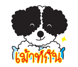 Tofu the little poodle sticker #8380463