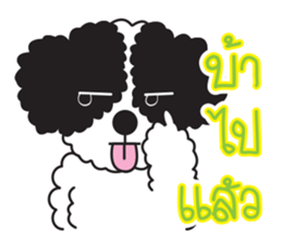 Tofu the little poodle sticker #8380467