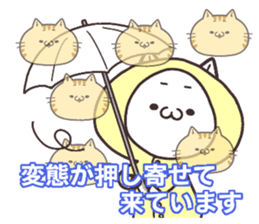 NUKOTA&TORAKICHI5 sticker #8382680