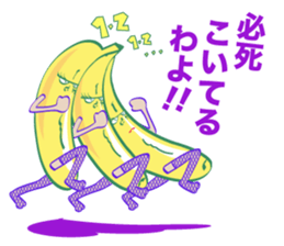 BANANA IN TIGHTS sticker #8383477