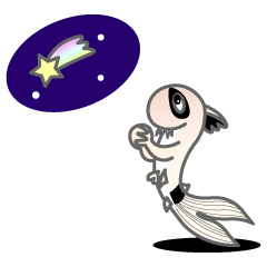 everyday Panda, the Corydoras 2