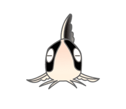 everyday Panda, the Corydoras 2 sticker #8385594