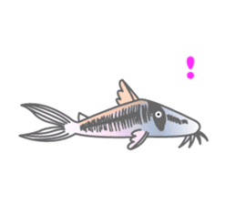 everyday Panda, the Corydoras 2 sticker #8385610