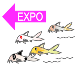 everyday Panda, the Corydoras 2 sticker #8385615