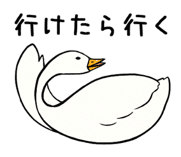 Mr. duck sticker part4 sticker #8386070