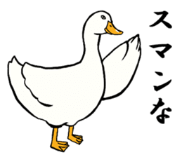 Mr. duck sticker part4 sticker #8386073