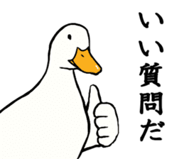 Mr. duck sticker part4 sticker #8386097