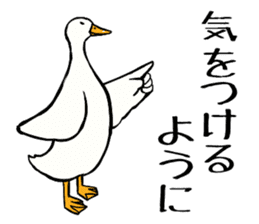 Mr. duck sticker part4 sticker #8386101