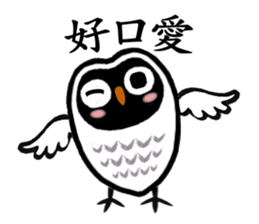 Funny black and white owls 2 sticker #8386281