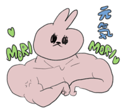 Black eye rabbit loose picture sticker #8386260