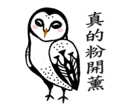 Funny black and white owls 1 sticker #8386483