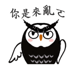 Funny black and white owls 1 sticker #8386502