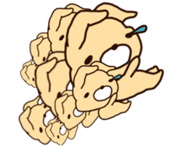 BIRD and CHICK sticker #8393315