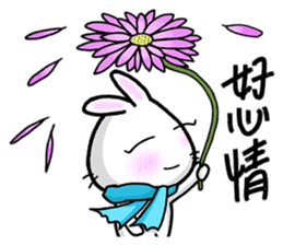 Bunny Winnie ~~ funny,adorable sticker #8393593