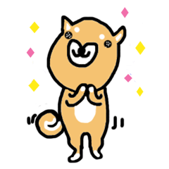 shiba inu KOTAROU