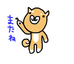 shiba inu KOTAROU sticker #8394390