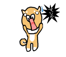 shiba inu KOTAROU sticker #8394395