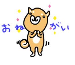 shiba inu KOTAROU sticker #8394396