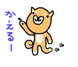 shiba inu KOTAROU sticker #8394410