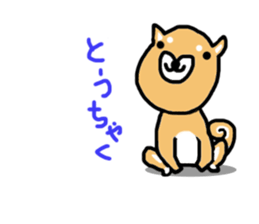 shiba inu KOTAROU sticker #8394412
