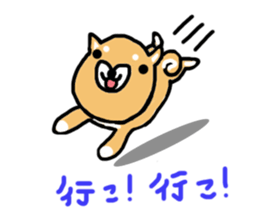 shiba inu KOTAROU sticker #8394426