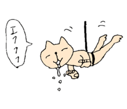 Cat cheat laughing sticker #8396363